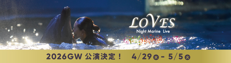 ナイトマリンライブLOVES