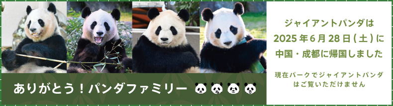 ありがとうパンダファミリー