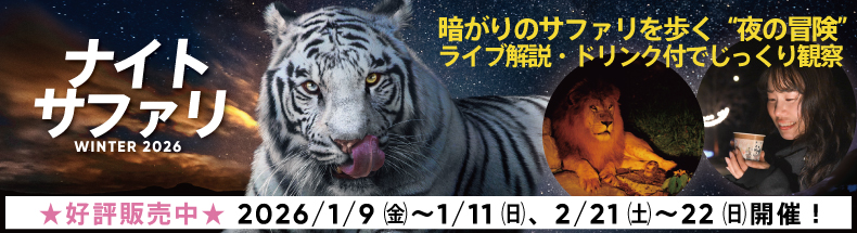 ナイトサファリハイキング2026