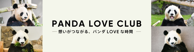 PANDA LOVE CLUB