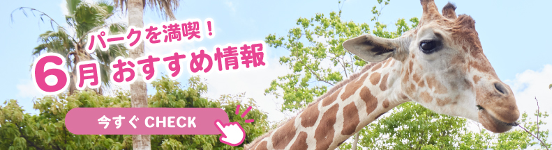 パークの楽しみ方